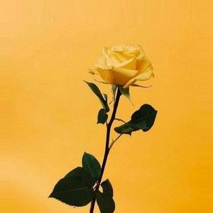 Take the time to meet me 😚